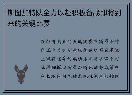 斯图加特队全力以赴积极备战即将到来的关键比赛