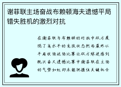 谢菲联主场奋战布赖顿海夫遗憾平局错失胜机的激烈对抗