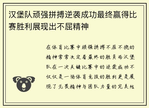 汉堡队顽强拼搏逆袭成功最终赢得比赛胜利展现出不屈精神
