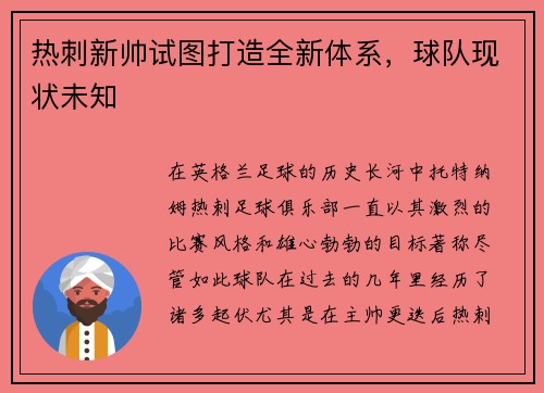热刺新帅试图打造全新体系，球队现状未知