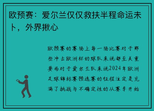 欧预赛：爱尔兰仅仅救扶半程命运未卜，外界揪心