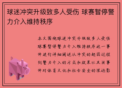 球迷冲突升级致多人受伤 球赛暂停警力介入维持秩序